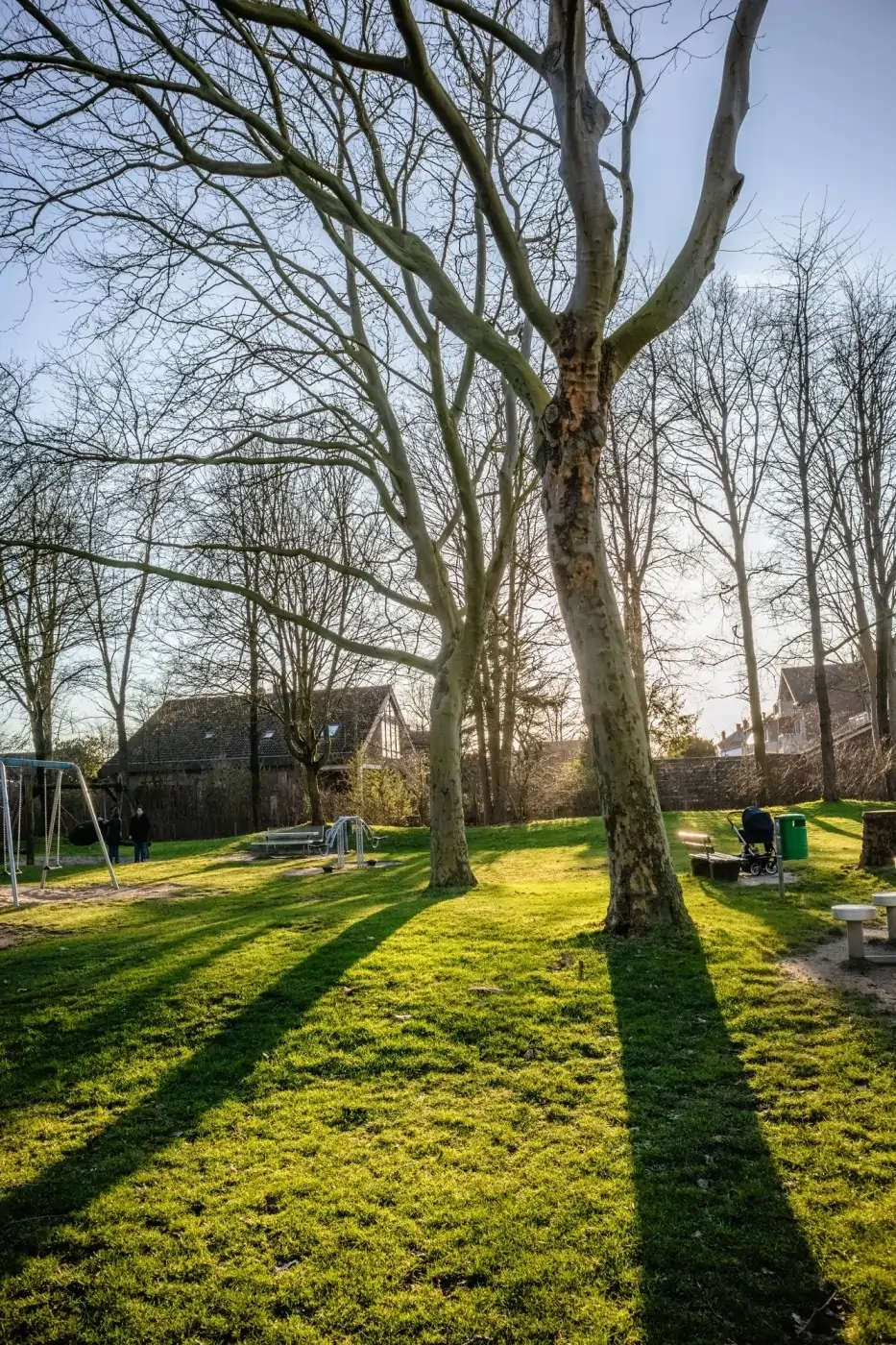 Before lawn restoration — sparse patchy grass in a backyard needing care